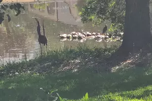 11424 High Springs Rd, Pensacola, FL 32534 - Photo 35