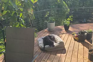 11424 High Springs Rd, Pensacola, FL 32534 - Photo 45