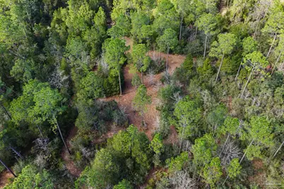 10736 County Rd 83, Elberta, AL 36530 - Photo 15