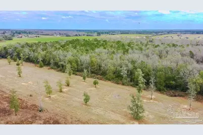 5N Chumuckla Hwy, Pace, FL 32571 - Photo 21