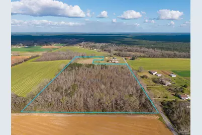 6562 Will Jones Rd, Jay, FL 32565 - Photo 3