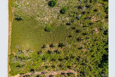 0 Allen Rd, Atmore, AL 36502 - Photo 13