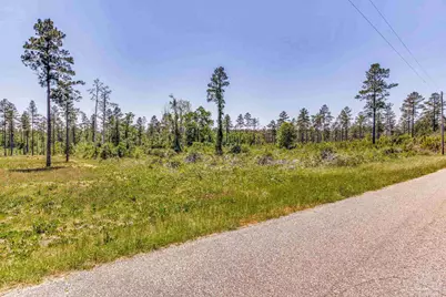 0 Allen Rd, Atmore, AL 36502 - Photo 29