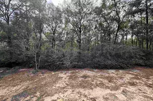 6512 Winston Brown Rd, Milton, FL 32570 - Photo 29