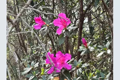 6512 Winston Brown Rd, Milton, FL 32570 - Photo 27