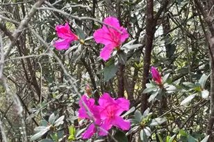 6512 Winston Brown Rd, Milton, FL 32570 - Photo 27