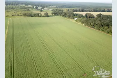 4+ Acres Hwy 87, Milton, FL 32570 - Photo 1