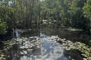 222 Vann Cir, Paxton, FL 32567 - Photo 25