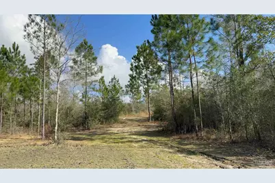 0 Native Creek Rd, Milton, FL 32571 - Photo 13