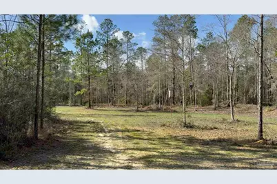 0 Native Creek Rd, Milton, FL 32571 - Photo 7