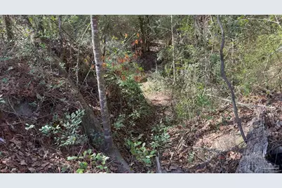 000 Native Creek Rd, Milton, FL 32571 - Photo 13