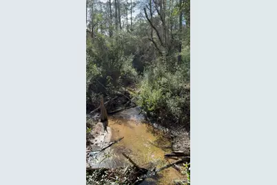 000 Native Creek Rd, Milton, FL 32571 - Photo 11