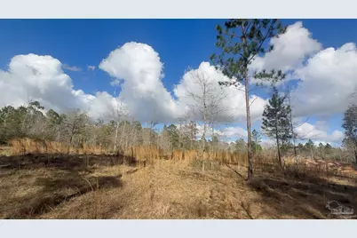 000 Native Creek Rd, Milton, FL 32571 - Photo 5