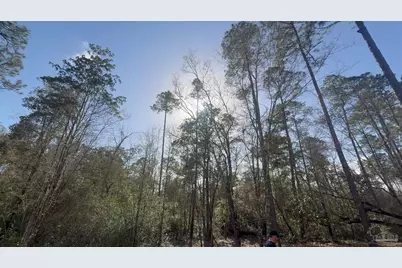 000 Native Creek Rd, Milton, FL 32571 - Photo 3