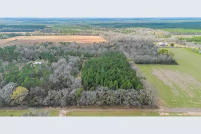 7900 Enon School Rd, McDavid, FL 32568 - Photo 11