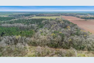 7900 Enon School Rd, McDavid, FL 32568 - Photo 17