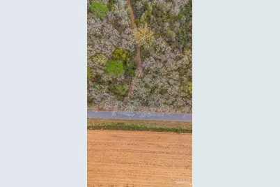 7900 Enon School Rd, McDavid, FL 32568 - Photo 3