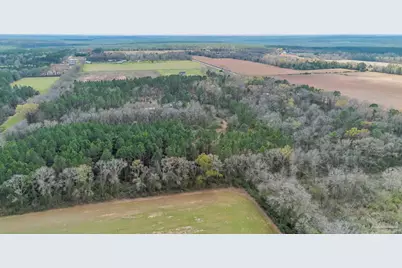 7900 Enon School Rd, McDavid, FL 32568 - Photo 15