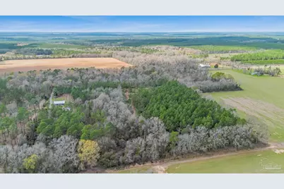 7900 Enon School Rd, McDavid, FL 32568 - Photo 9