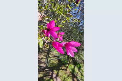 540 N 68th St, Pensacola, FL 32506 - Photo 39