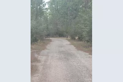 0 Havburg Dr, Pensacola, FL 32506 - Photo 7