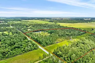 20800 Co Rd 87, Robertsdale, AL 36567 - Photo 41