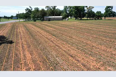 0 Hwy 89, Jay, FL 32565 - Photo 13