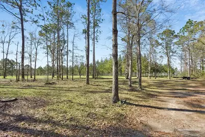 2510 Thomas McCall Ln, McDavid, FL 32568 - Photo 7