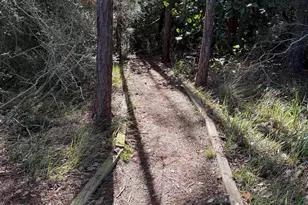 3878 Sail Wind Dr, Gulf Breeze, FL 32563 - Photo 43