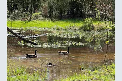 435 Meander Ln, Cantonment, FL 32533 - Photo 47