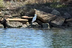 326 W Sunset Ave, Pensacola, FL 32507 - Photo 15