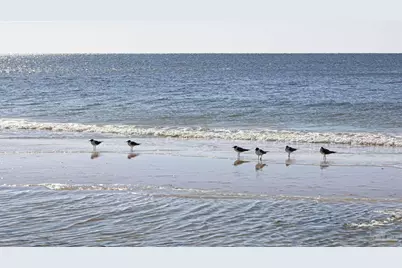 25770 Blufton Ave, Orange Beach, AL 36561 - Photo 71