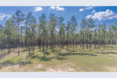 7047 Hidden Forest Trail, Pace, FL 32571 - Photo 5