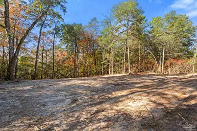Genevieve Way #Lot 25, Crestview, FL 32536 - Photo 5