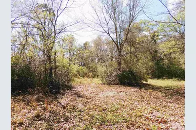 309 Crowndale Rd, Cantonment, FL 32533 - Photo 3