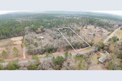 Pleasant Home Church Rd, Holt, FL 32564 - Photo 5