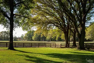 457 Jimmy Lewis Rd, Milton, FL 32570 - Photo 25