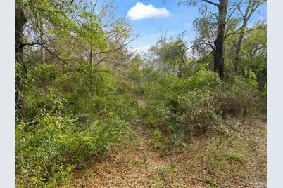 7725 Elrod Rd, Milton, FL 32583 - Photo 13