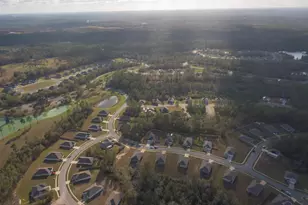 6712 Sarah Ann Way, Laurel Hill, FL 32567 - Photo 33