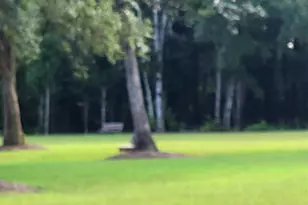 5061 Peach Dr, Pace, FL 32571 - Photo 9