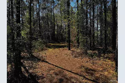 0000 Hwy 89, Milton, FL 32583 - Photo 3