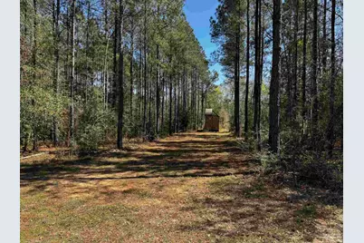 0000 Hwy 89, Milton, FL 32583 - Photo 5