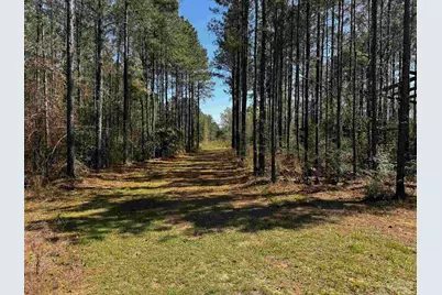 0000 Hwy 89, Milton, FL 32583 - Photo 7