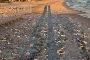 16310 Perdido Key Dr, Pensacola, FL 32507 - Photo 47