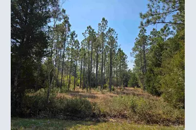 6641 Delhi Dr, Milton, FL 32583 - Photo 1