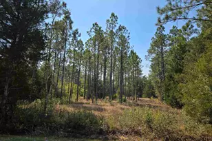 6641 Delhi Dr, Milton, FL 32583 - Photo 1