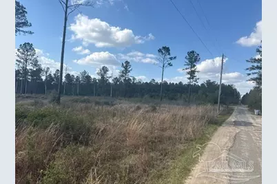 - Mayburn Bridge Rd, Milton, FL 32570 - Photo 3