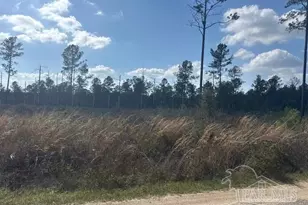 - Mayburn Bridge Rd, Milton, FL 32570 - Photo 1