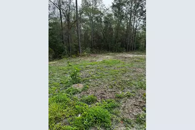 6318 Donna Dr, Molino, FL 32577 - Photo 3