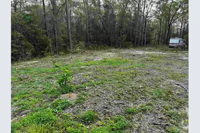 6318 Donna Dr, Molino, FL 32577 - Photo 5